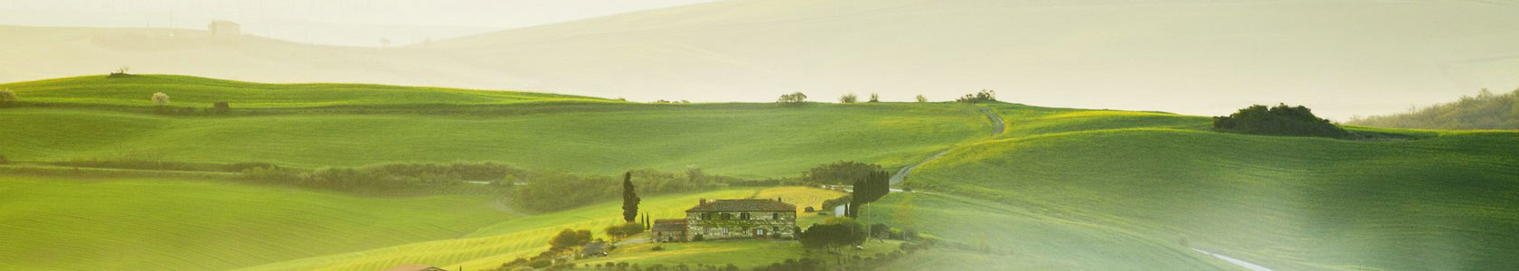 園林養(yǎng)護品